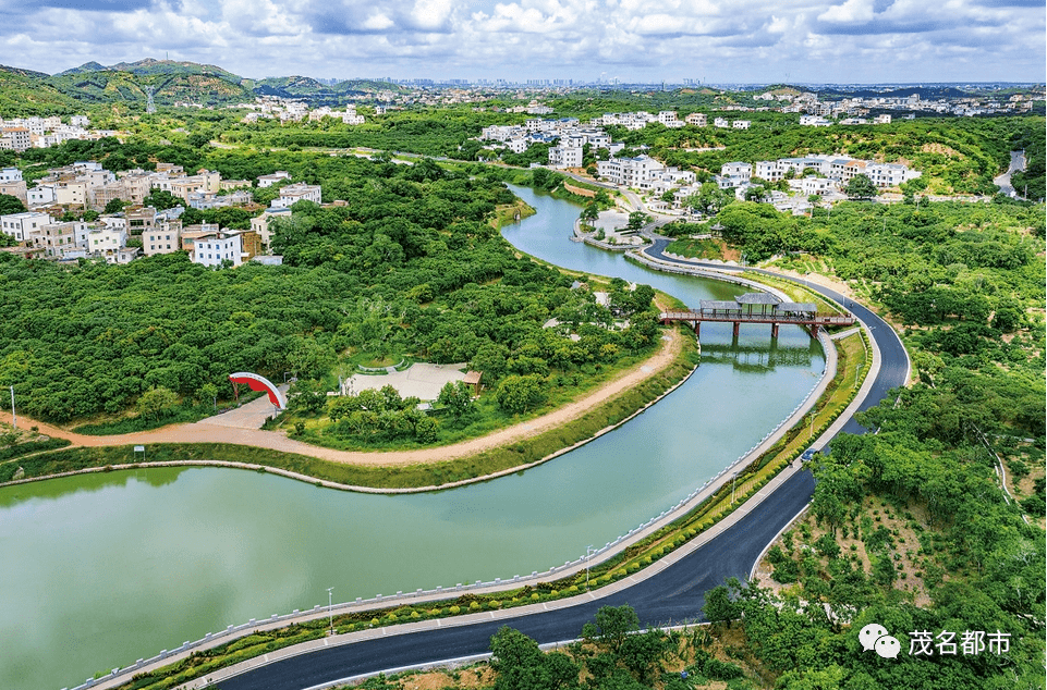 中垌这条村入选省示范村!快看是你村吗?_化州_乡村_治理