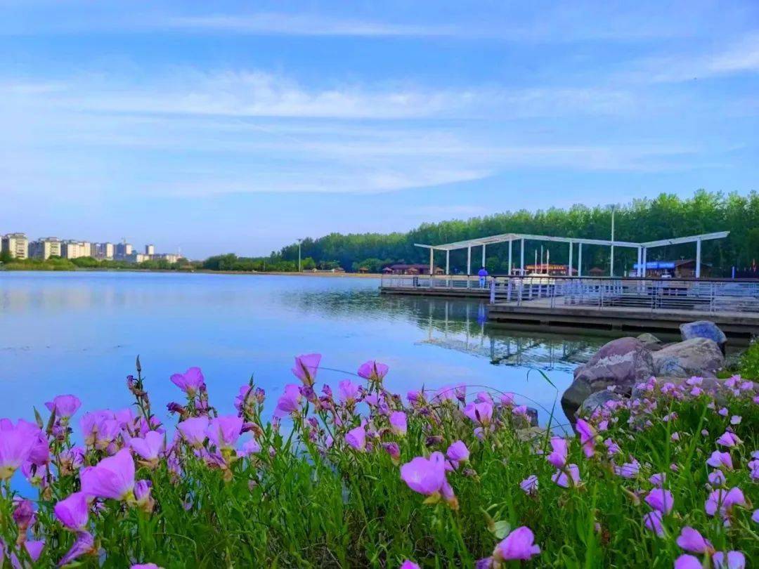 新蔡:春末初夏的好时光_生态_西湖_公园