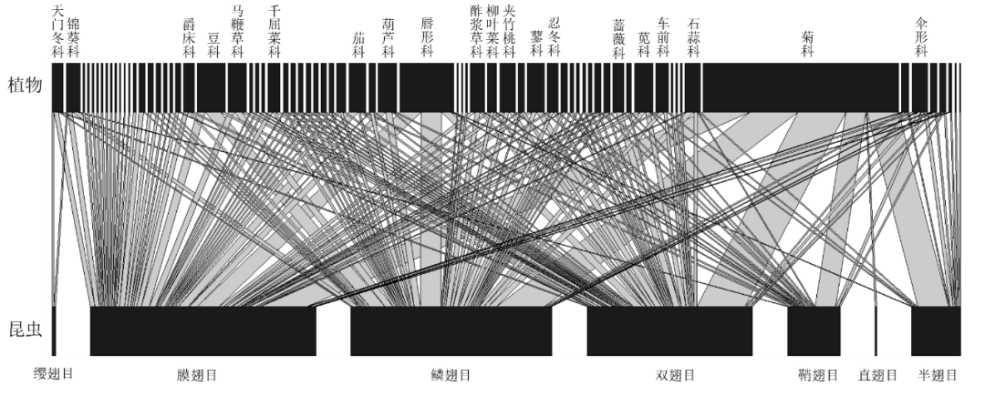 种子图片（虞美人种子图片大全大图高清） 第5张