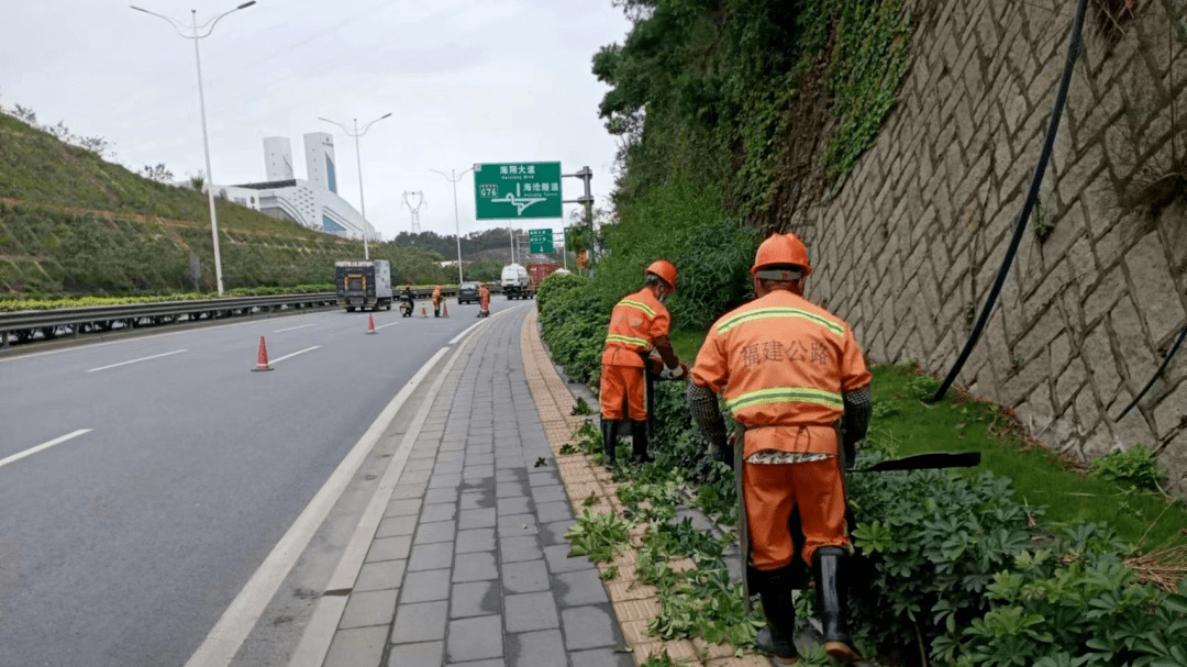 道路绿化苗木价格查询