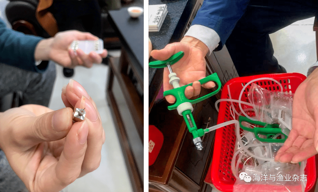 鳜传染性脾肾坏死病灭活疫苗(nh0618株)的注射设备除了保护力强,鳜