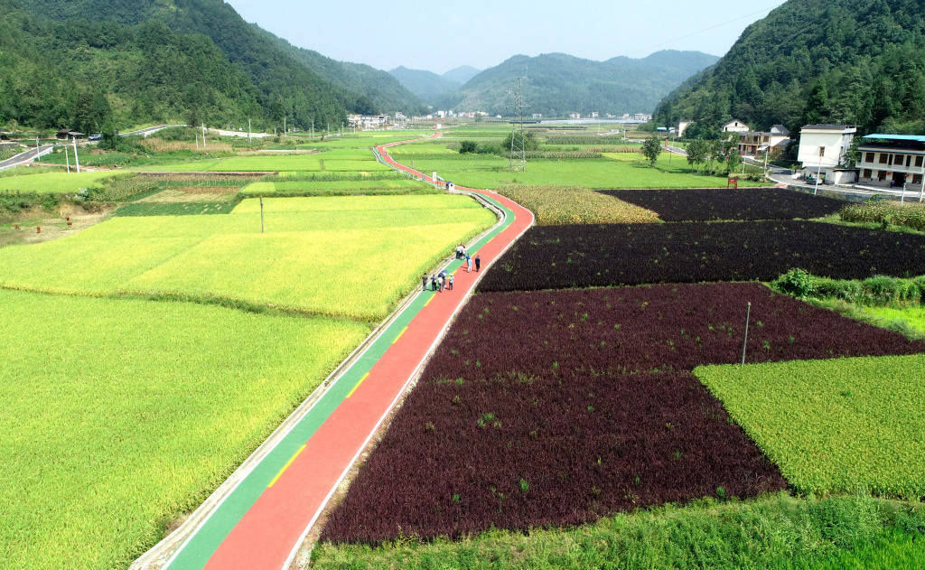 湖北恩施·咸豐插秧節將於5月10日開幕_忠堡鎮_活動_鄉村