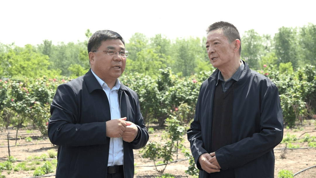 获嘉县组织离退休老干部调研获嘉县首届文化旅游节系列活动开展情况