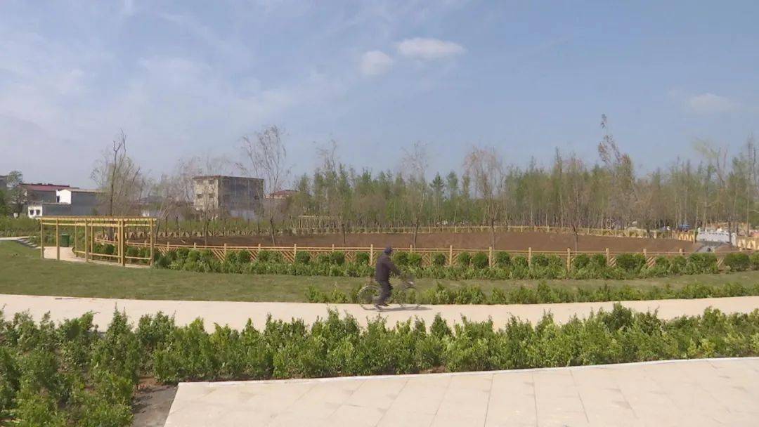 商水县邓城镇:样板村示范带动打造美丽宜居新环境_整治_许村_工作
