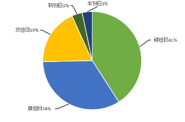 种子图片（虞美人种子图片大全大图高清） 第4张