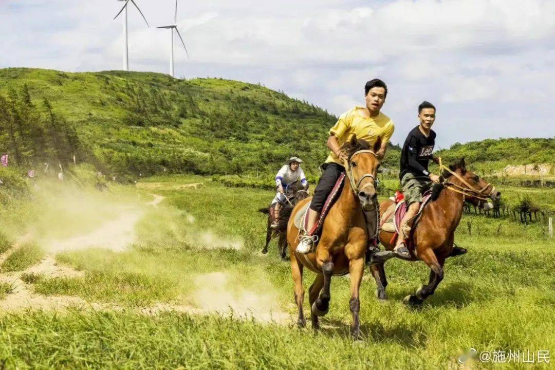 利川乡村亲子研学游一定不要错过_齐岳山_田园_导航