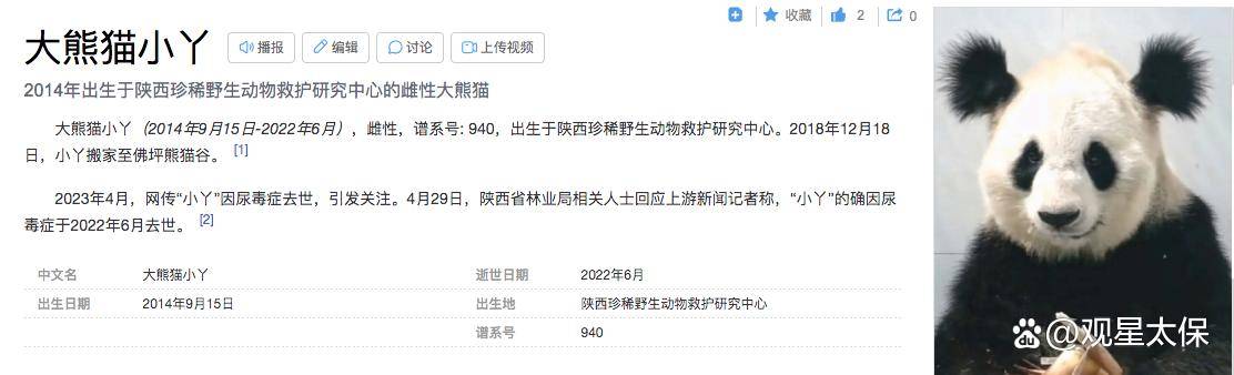 尿毒症夺走“小丫”的生命，大熊猫需要更多关爱_手机搜狐网