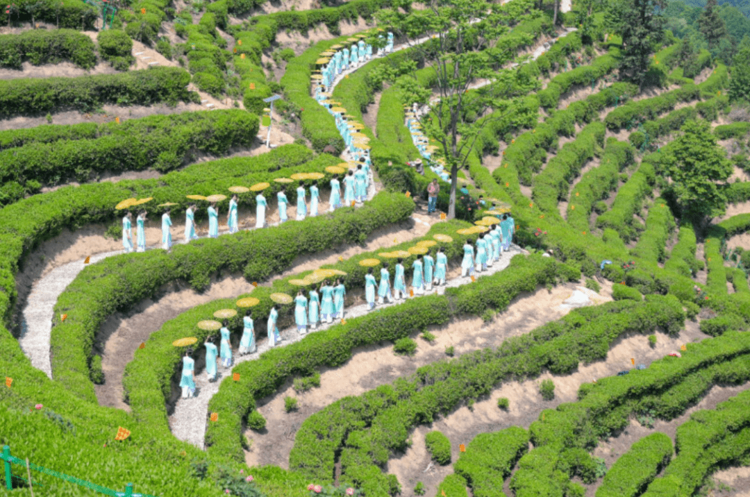 横排头村→独山茶主题公园→独山抹茶村→晚餐,住宿:抹茶小院或者独山