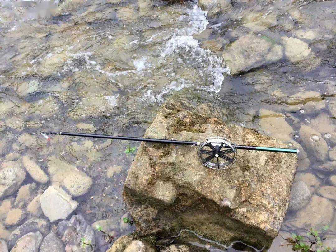 钓鱼界老祖宗传给我们的"溪流盘车钓法"_钓场_路亚_地方