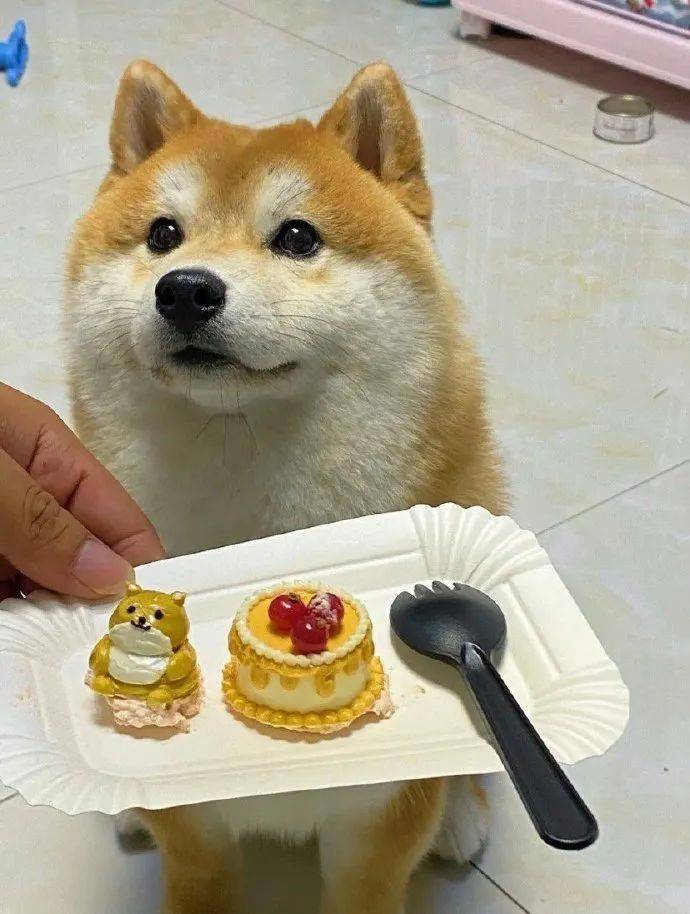 网友:扇贝跑了_办事_生活_生育