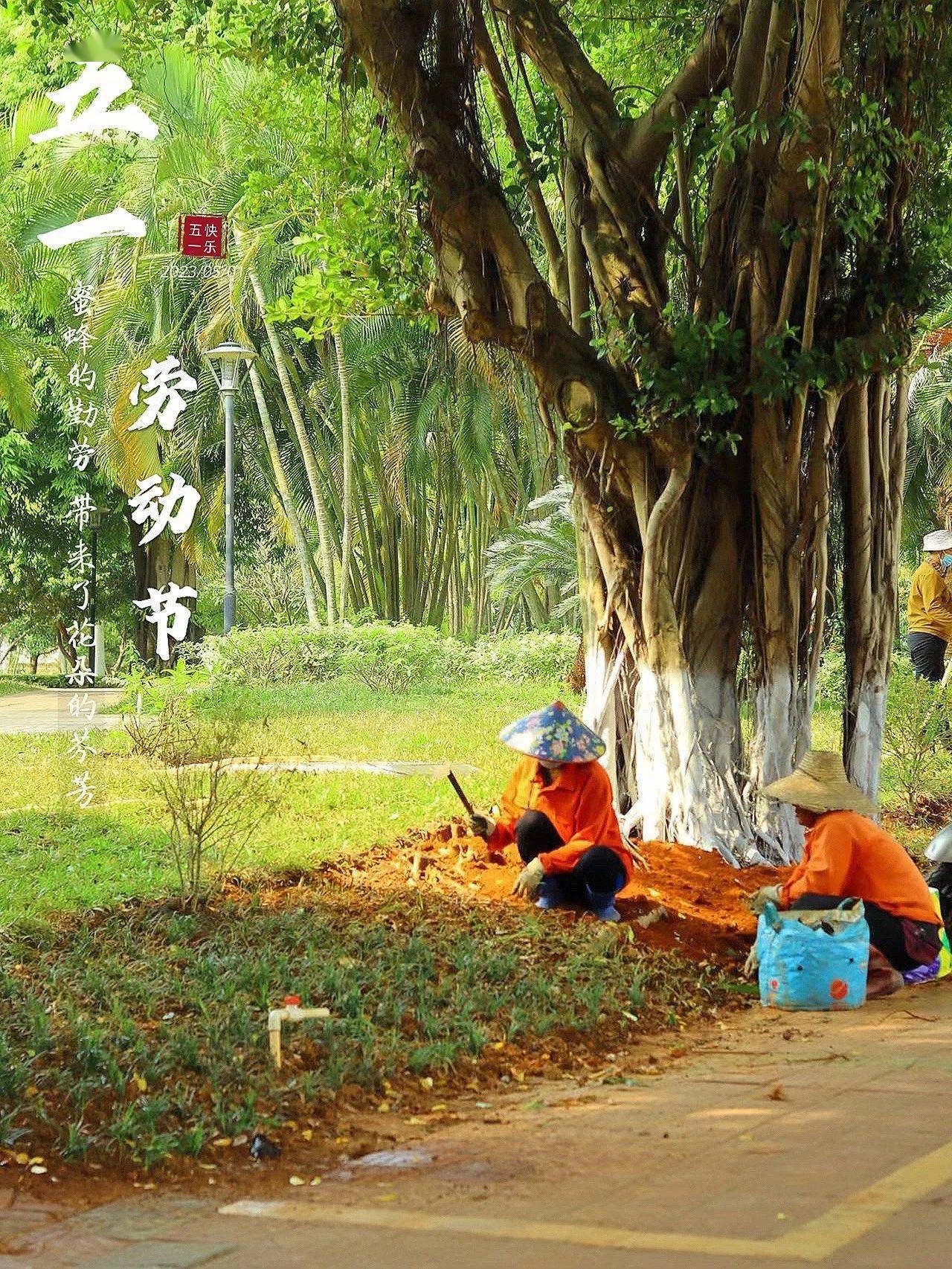 邱粉萍 钟馥禧 涂可怡编辑丨彭雪琴文案丨廖美玲制图丨梁宝如 郑绮雯