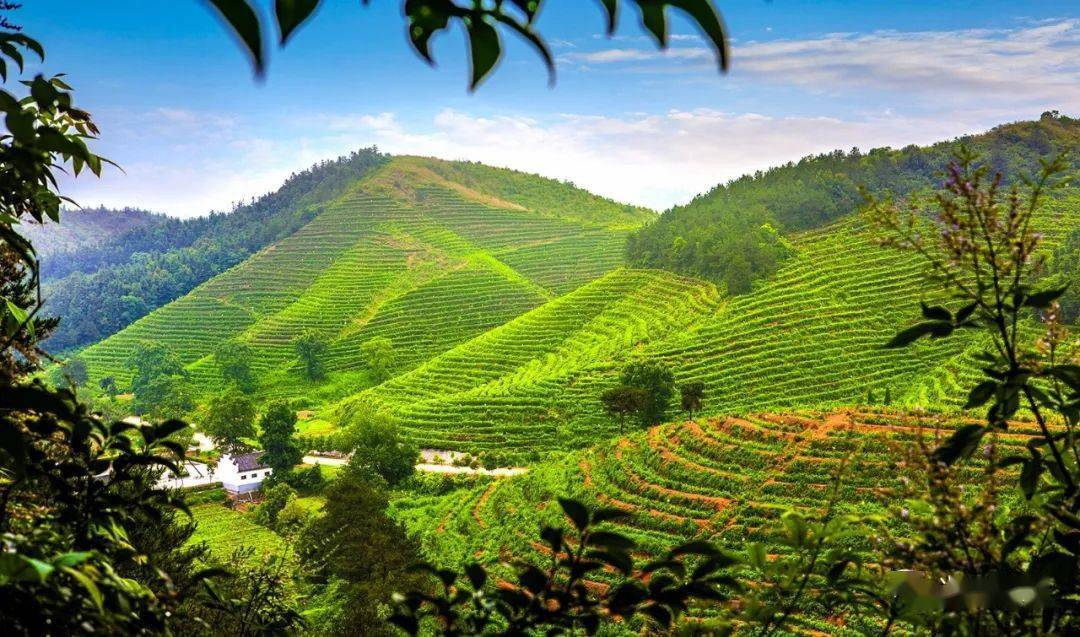 光山文旅局长邀请您,视频来了!_旅游_风景区_乡村