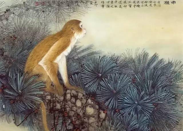 猴子工笔画图片大全图片