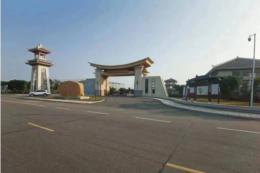 高州市根子镇柏桥村首批推出合作的荔枝园区高州市根子镇柏桥村柏桥村