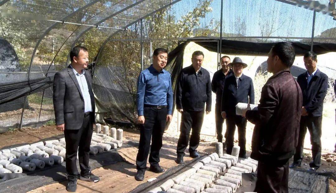 临潭网站开发公司排名(临潭网站开发公司排名前十)