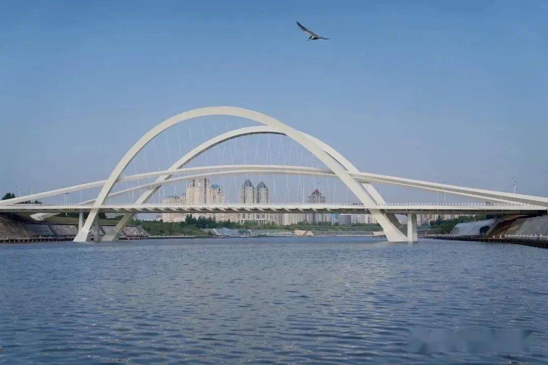 康巴什3号桥获中国钢结构金奖!