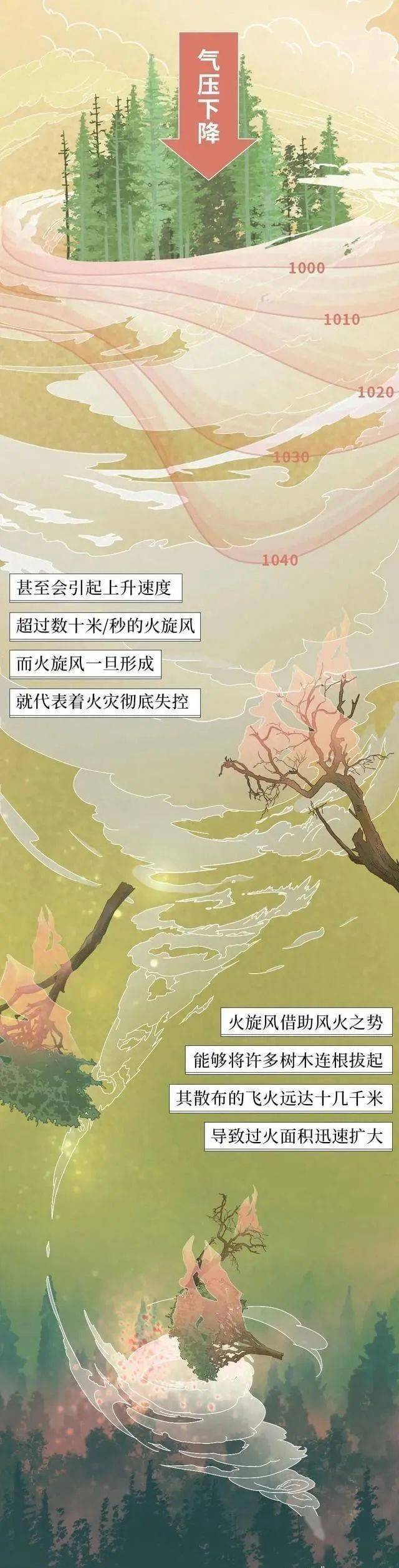 【森林防火】带你了解森林防灭火_火灾_汤旺_什么