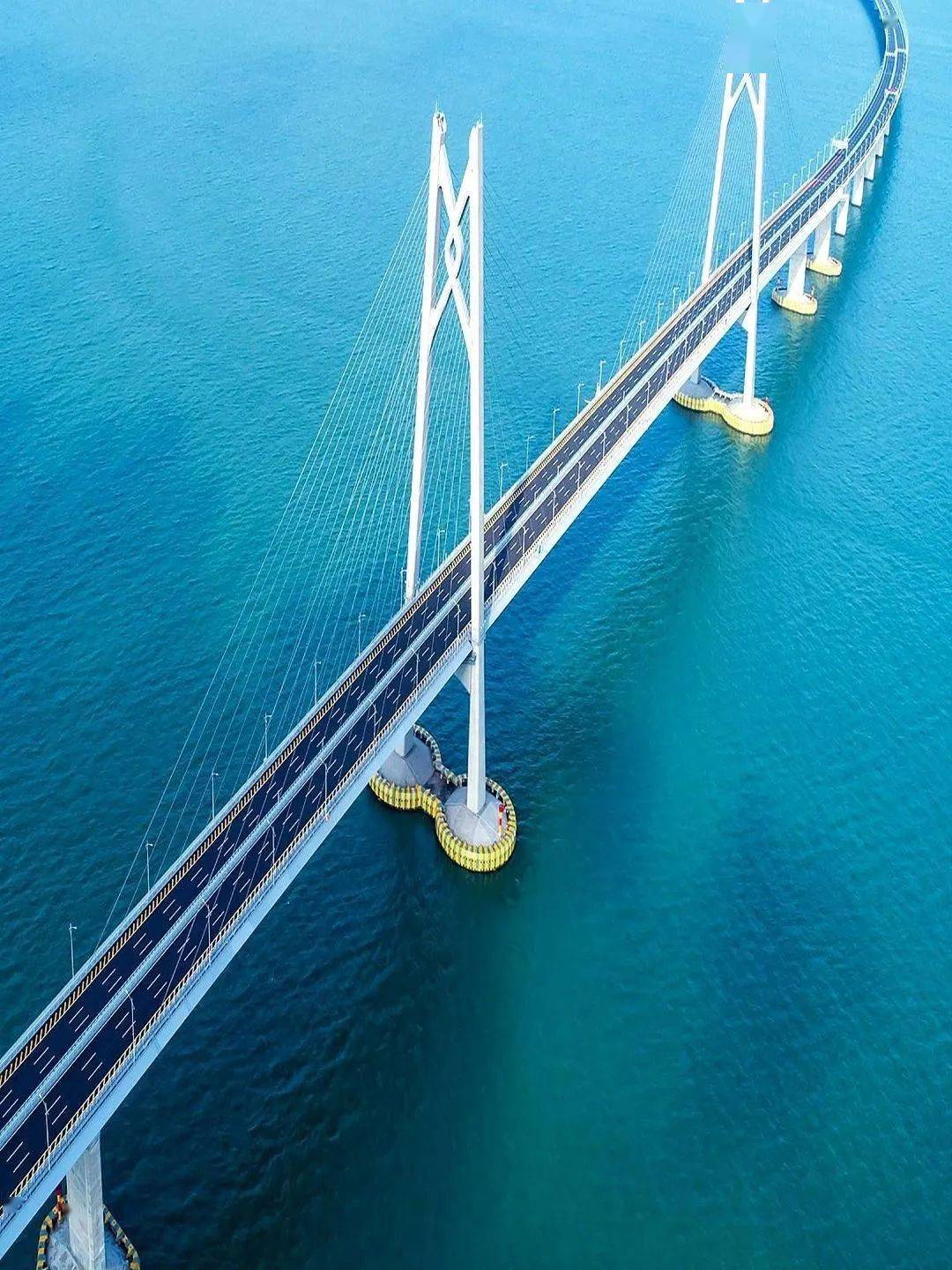 玩转大湾区