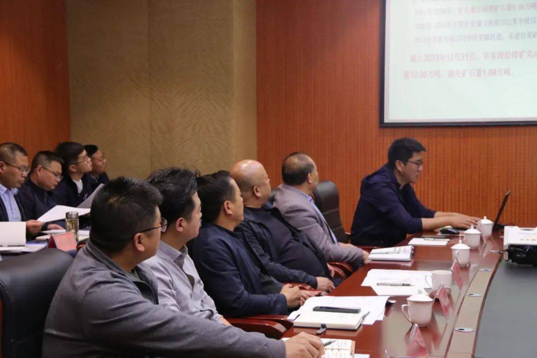 成县毕家山铅锌矿区整合矿产资源储量报告评审会召开_工作_自然_相关