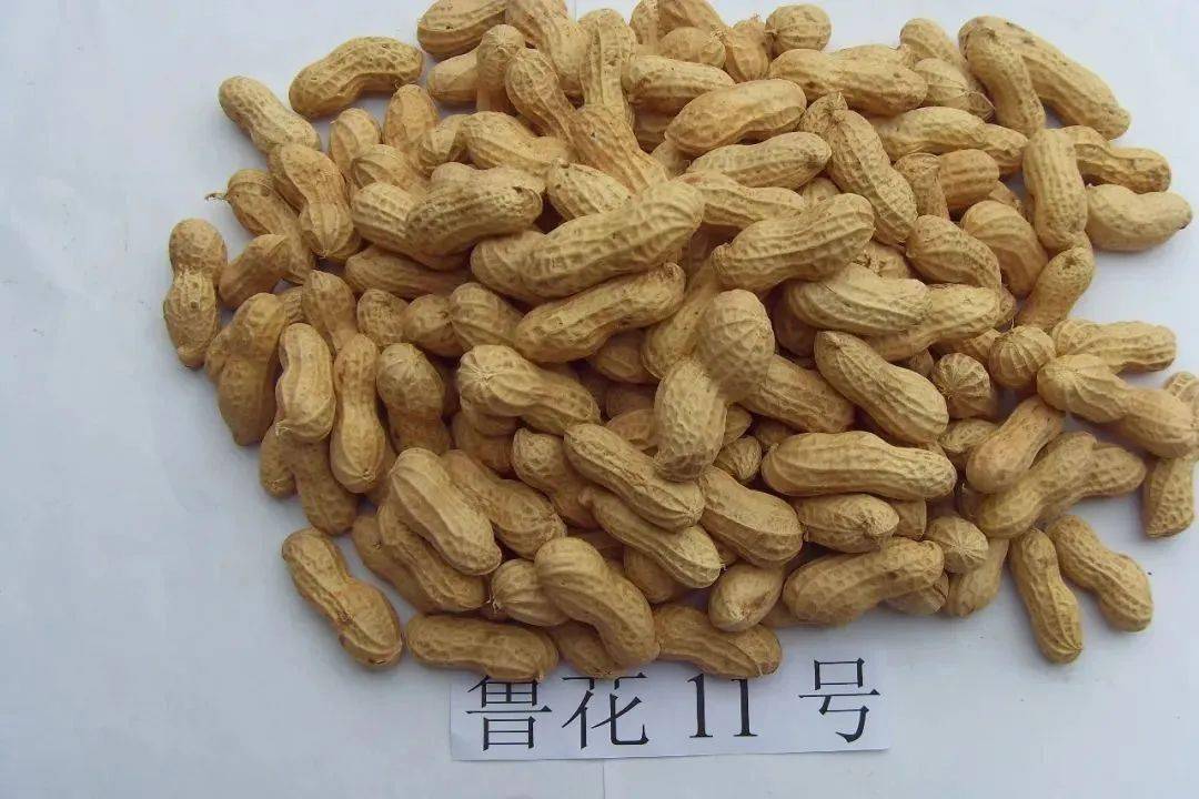玻璃連棟溫室
