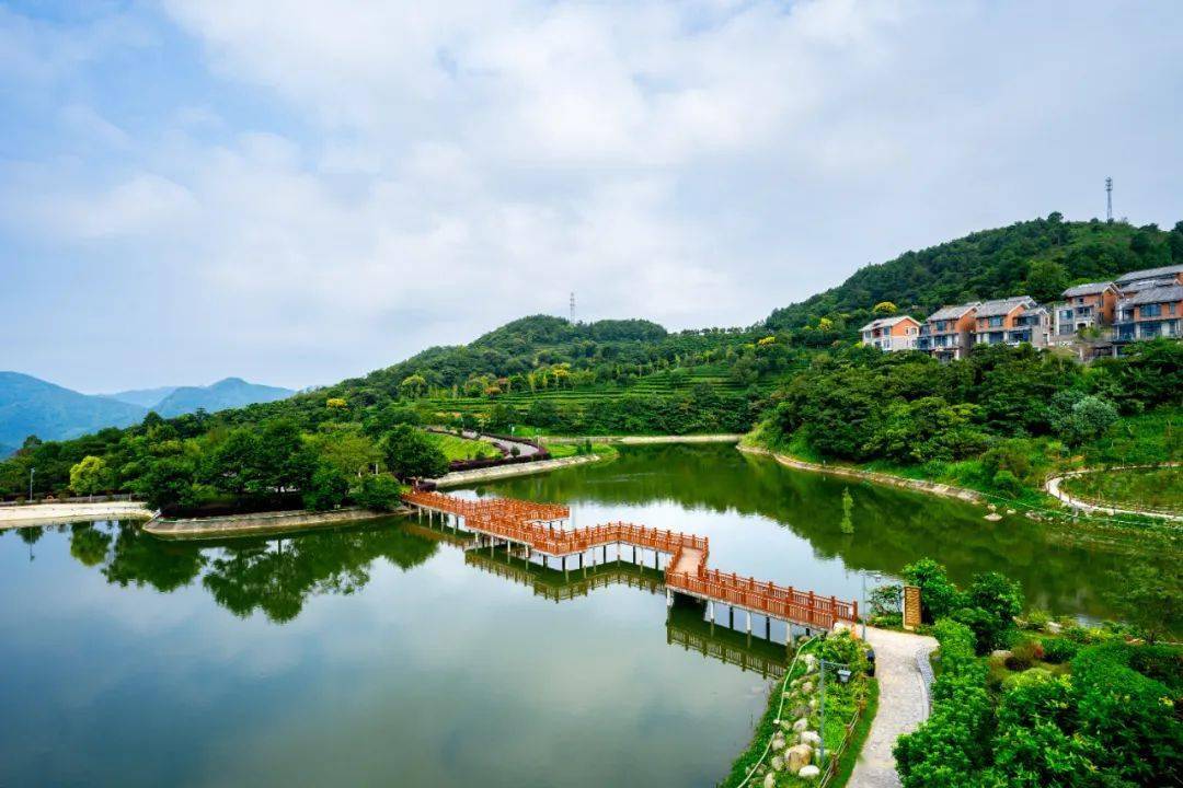 太平镇_活动_展馆