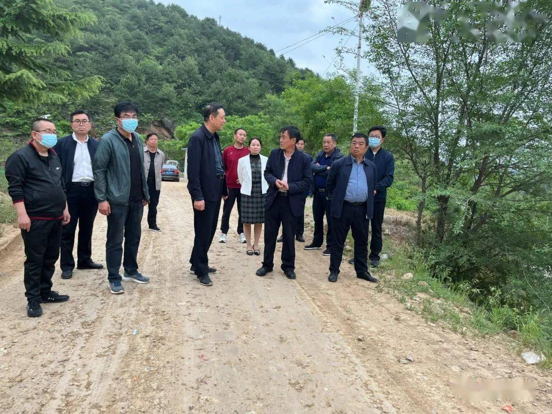 市健康办在洛南检查验收市级卫生镇,村