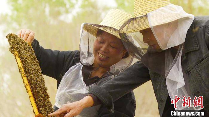 有机种子（有机种子和无机种子的区别） 第2张