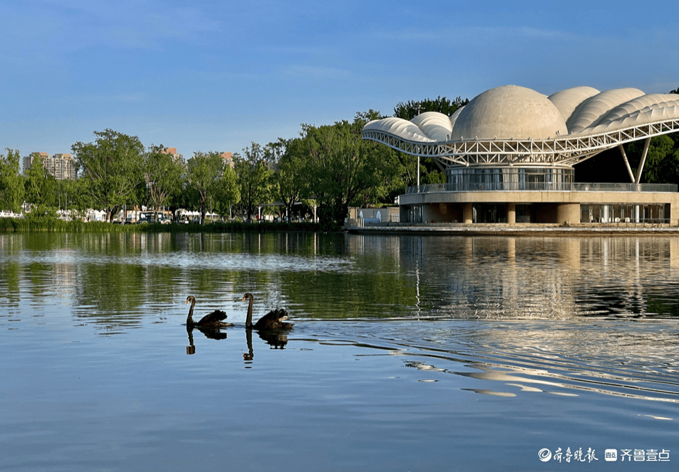 北京朝阳公园,莲花湖水天一色美如画_平松