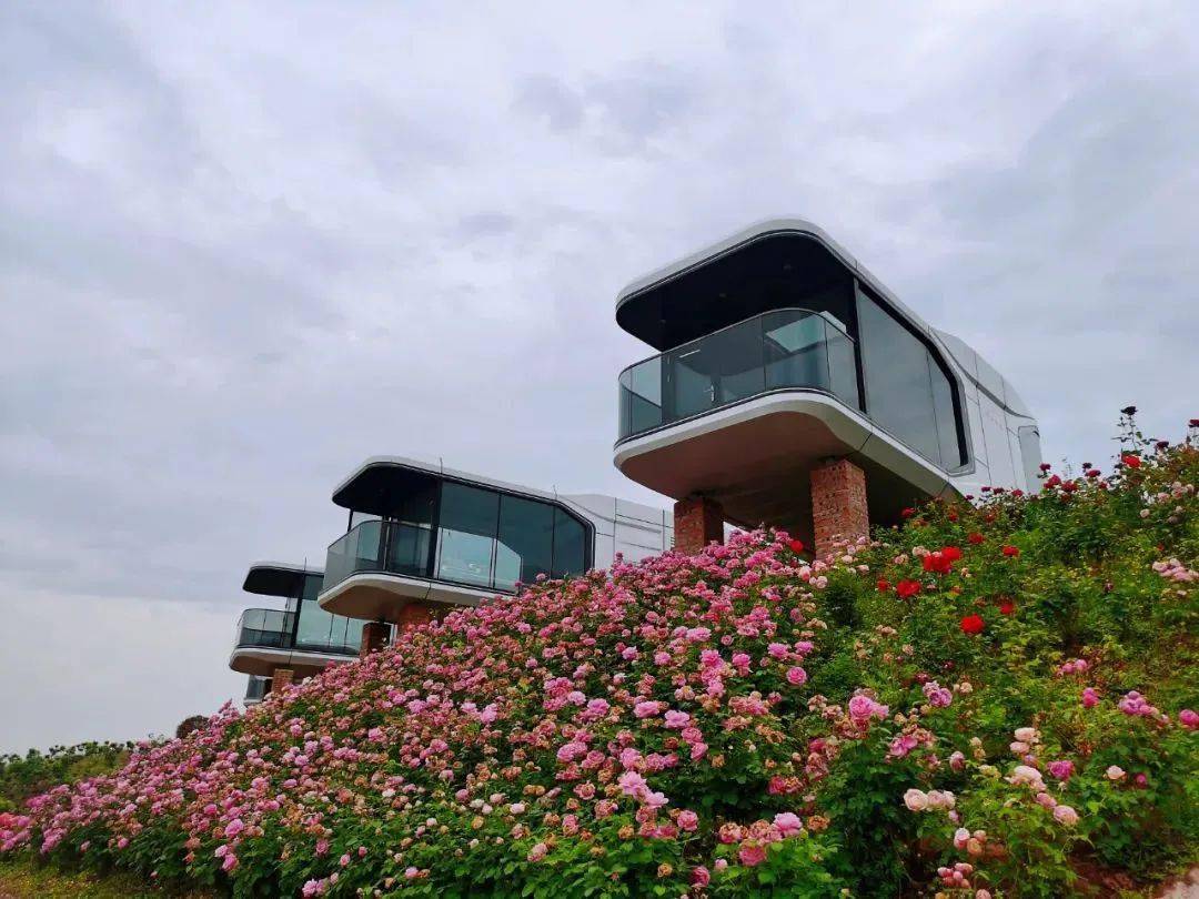 住巴岳山下的太空舱!铜梁这处露营基地即将开放!_泽田园_草坪_智能化