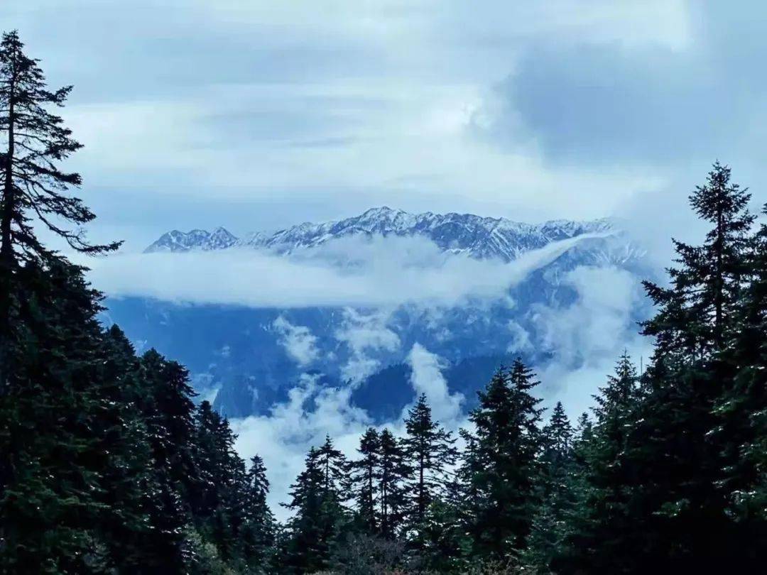 慢游官鹅沟!_甘肃_旅游_内容