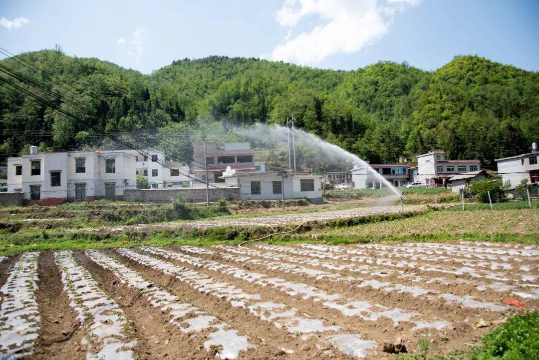 织金县三塘镇图片