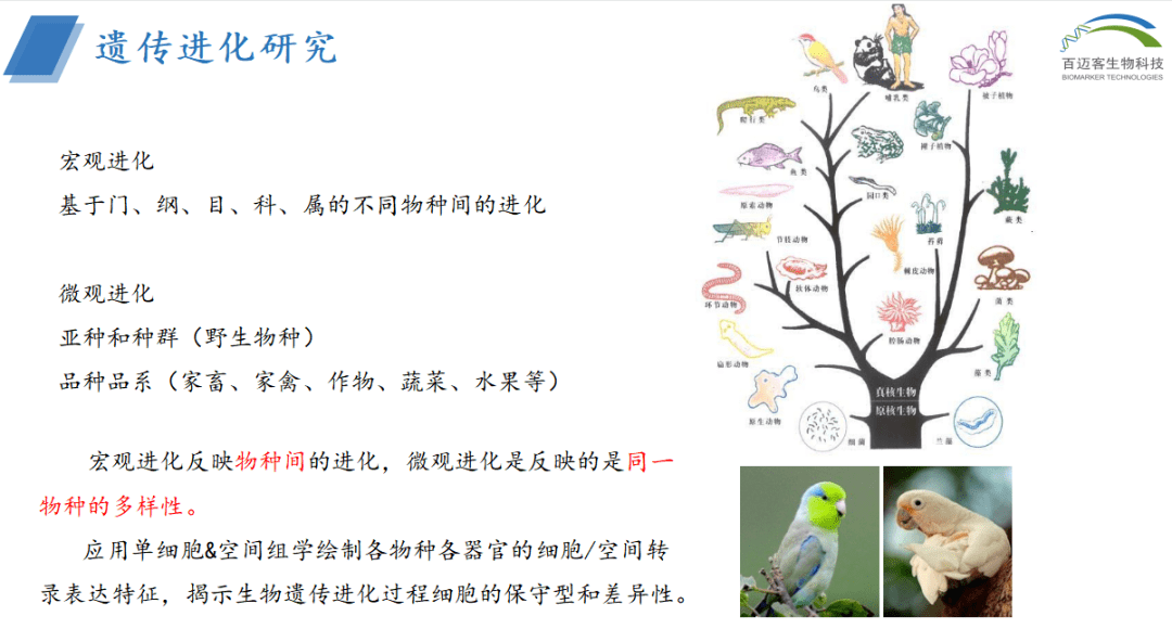 【直播预告】单细胞&空间组学探索生物进化过程_物种_研究_al