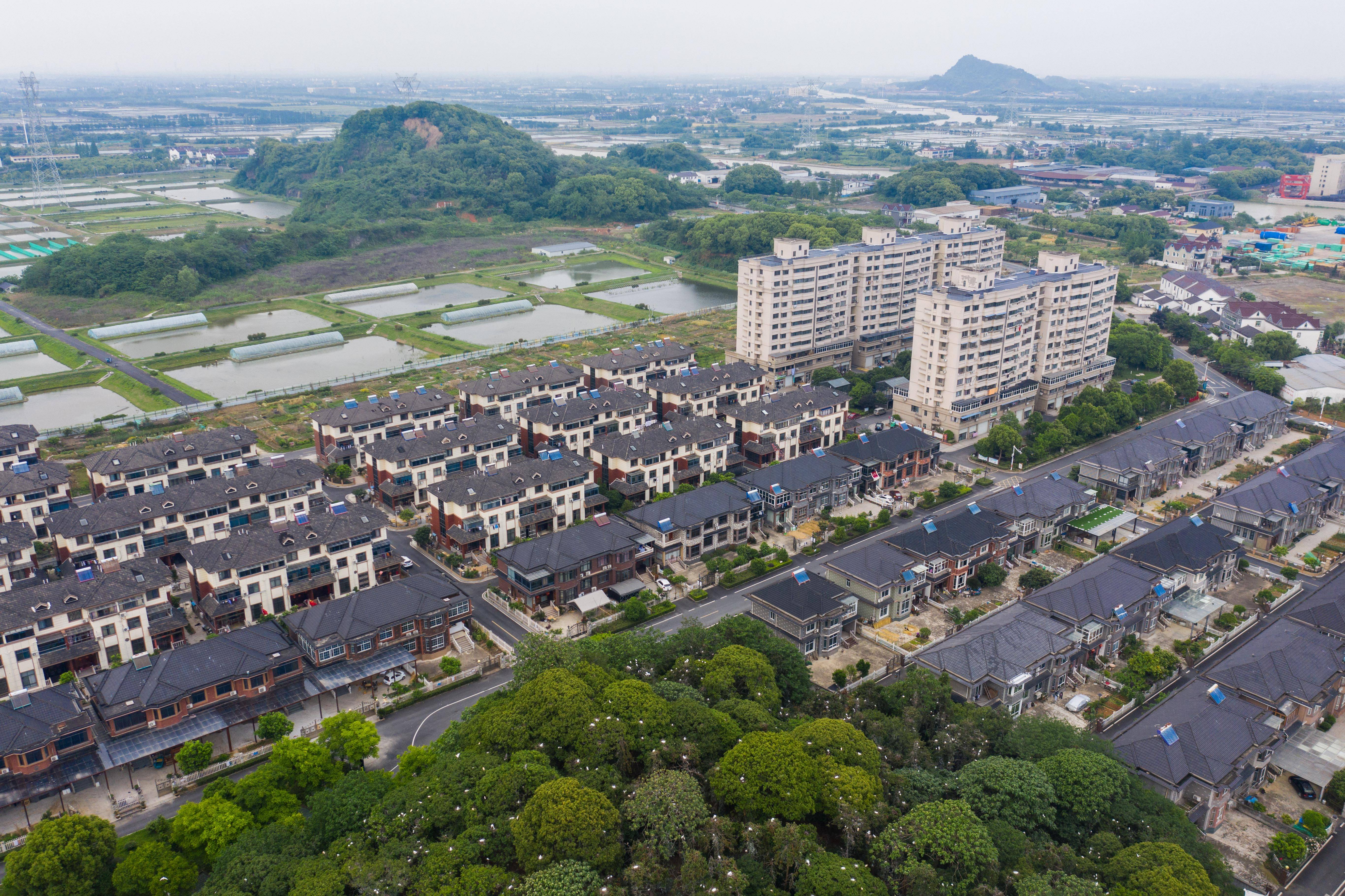 (社会)浙江德清:打造宜居宜业和美乡村_新华社_龙胜村_建设