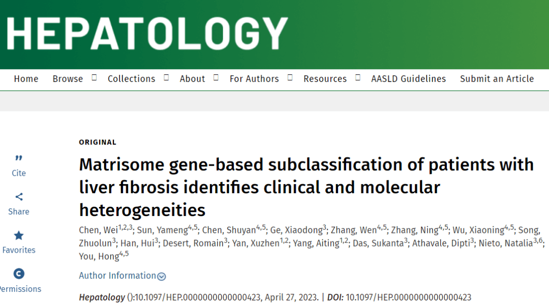 北京友谊医院尤红教授团队Hepatology发文阐述肝纤维化分子分型