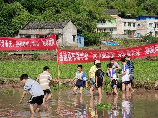 02東湖學校為落實大中小學勞動教育的精神,全面實施素質教育,嶽池一中