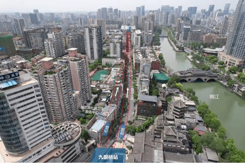 种子图片（幸运草种子怎么种植方法视频） 第3张