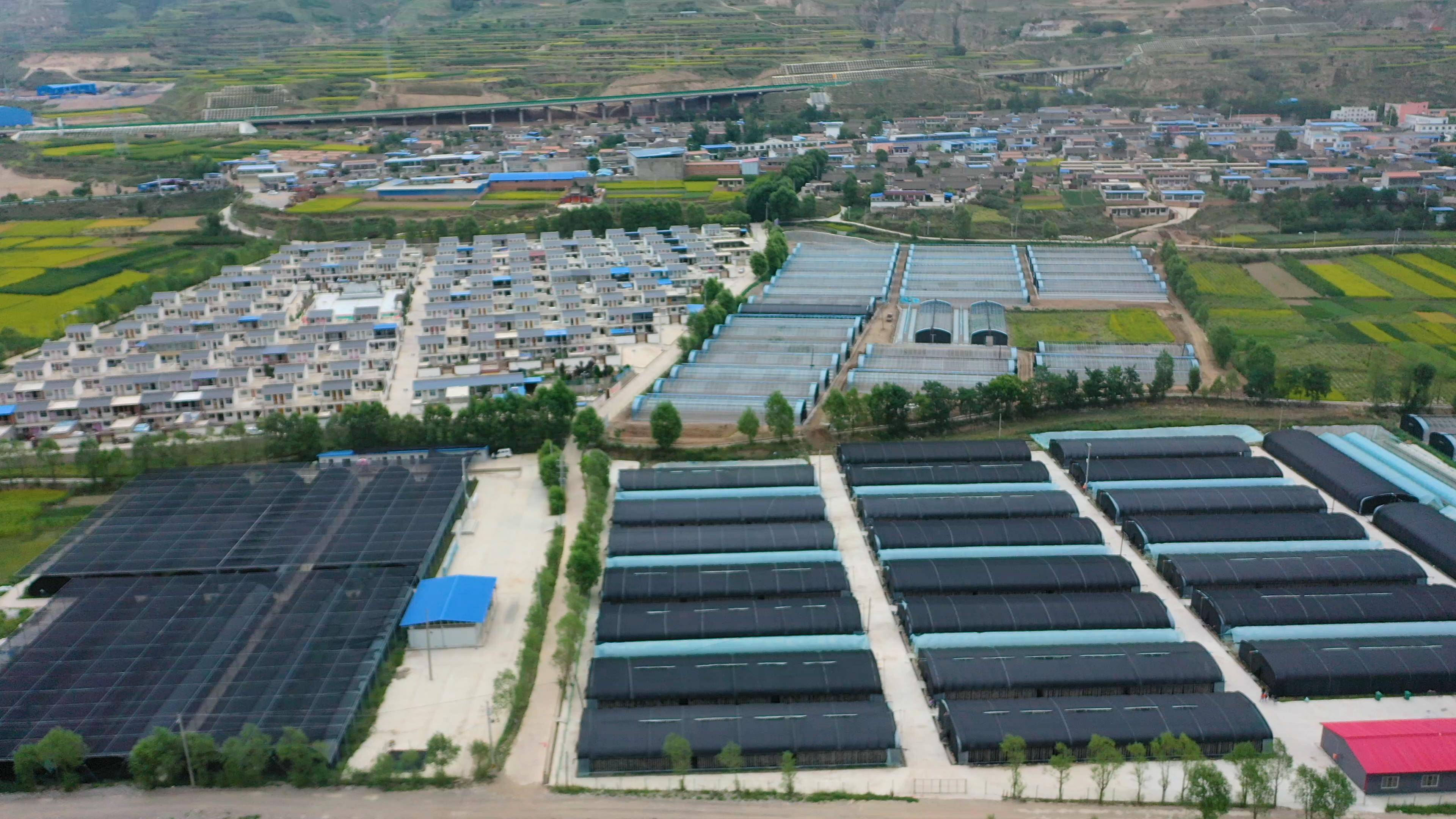 多元产业绘就甘肃漳县"康养"色彩_大棚_农业_种植