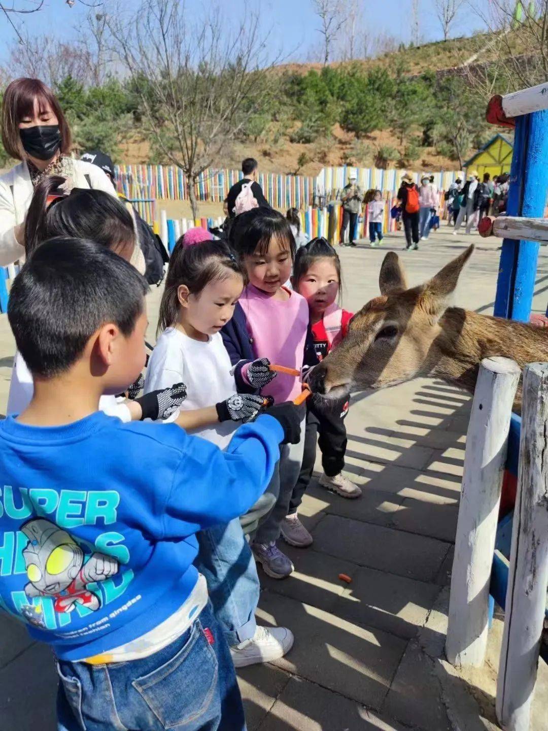 西部長青自然兒童樂園就是zui佳目的地5月14日當天凡入園的媽媽均有