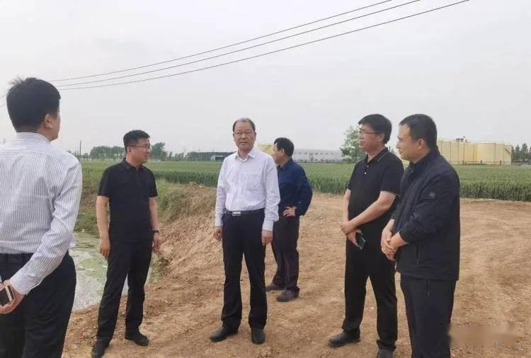 邯郸市生态环境局局长齐海新到魏县,大名县调研生态环