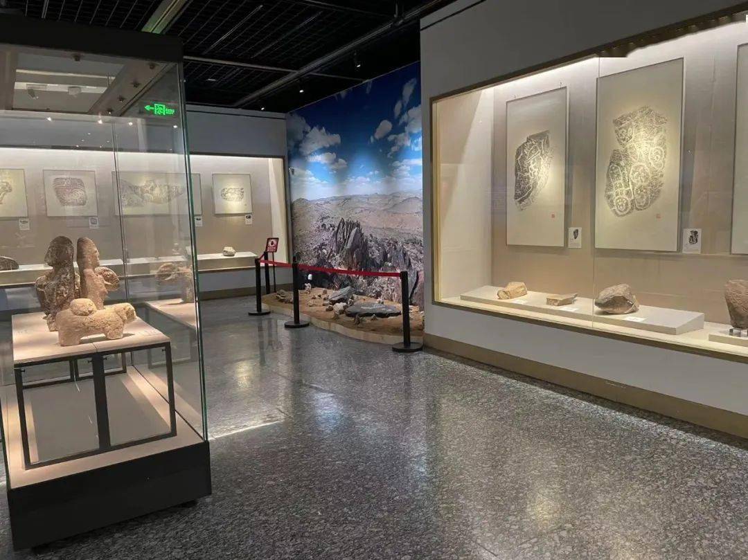 自在长三角|来上海看文博大展——"56118国际博物馆日"上海市博物馆