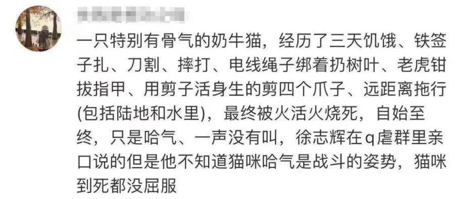 正能量博主直播虐猫被抓!刀割,火烧,签扎!