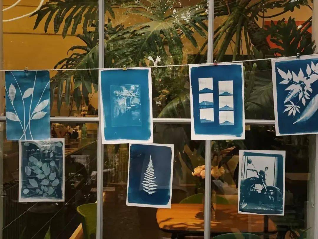 免费公益活动 |「蓝晒」体验,探索光 ·影· 色的美学_工艺_沙井街道
