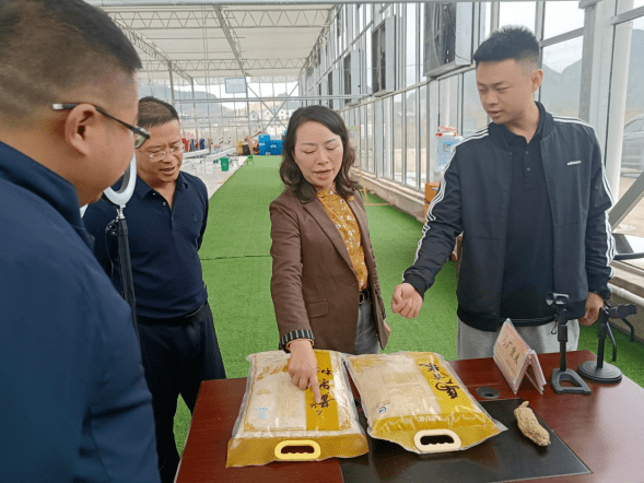 市人民政府副市长潘登岭到马厂镇调研樱桃产业,花卉产业和村集体经济