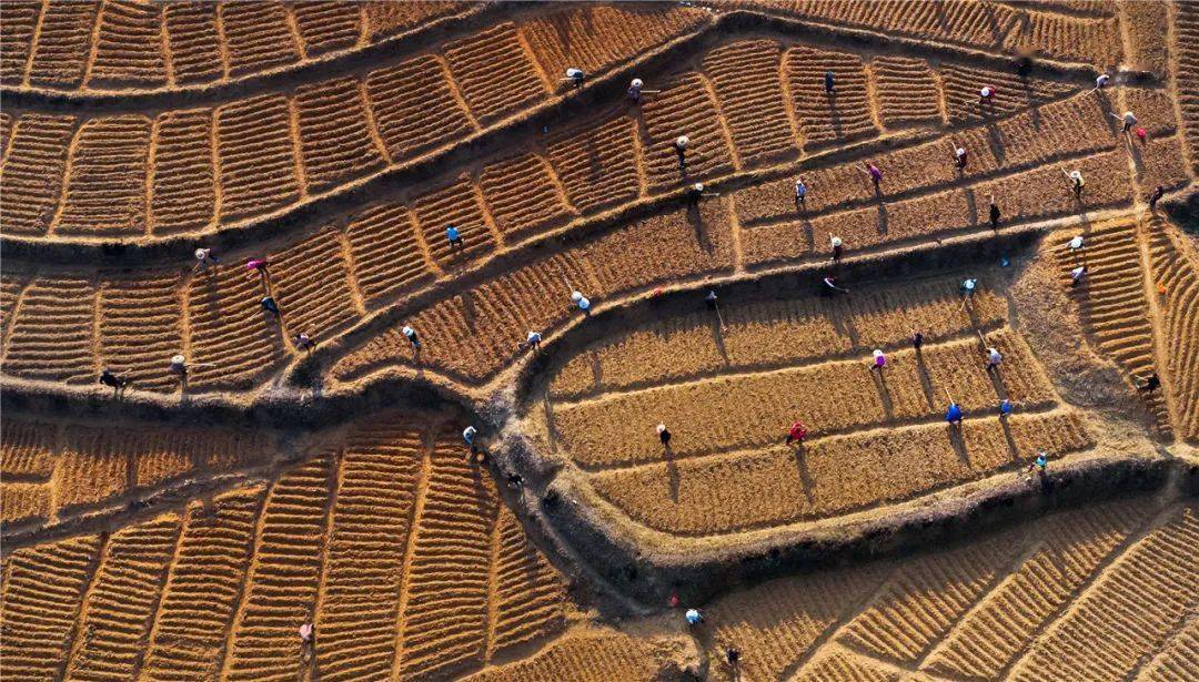 (作品展)_彭俊_杨雄_张金万