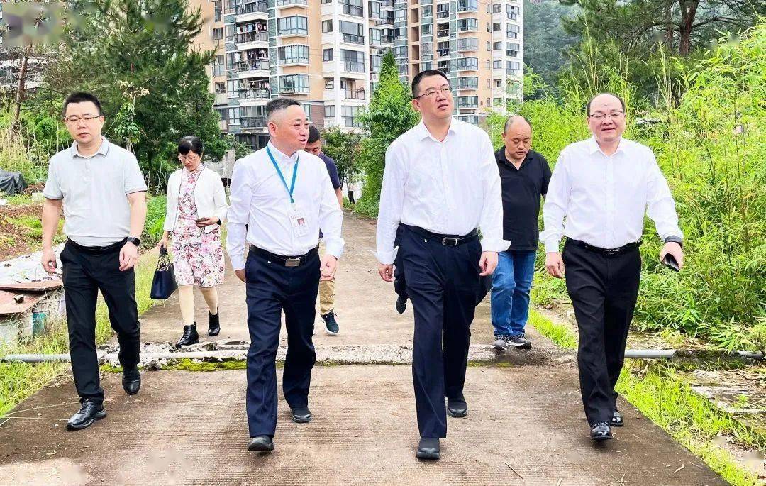 【动态】福建省卫健委党组书记,主任杨闽红一行到武夷山市调研指导