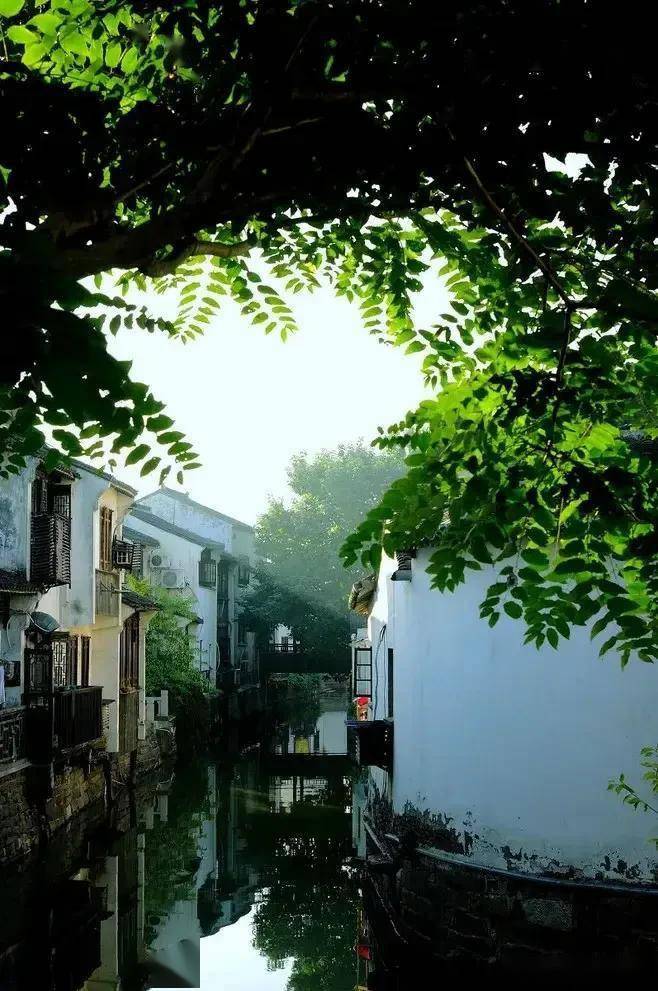 楼台雾锁西窗月,小径烟笼北院池.乳燕初飞荷半放,熟梅待摘雨连垂.