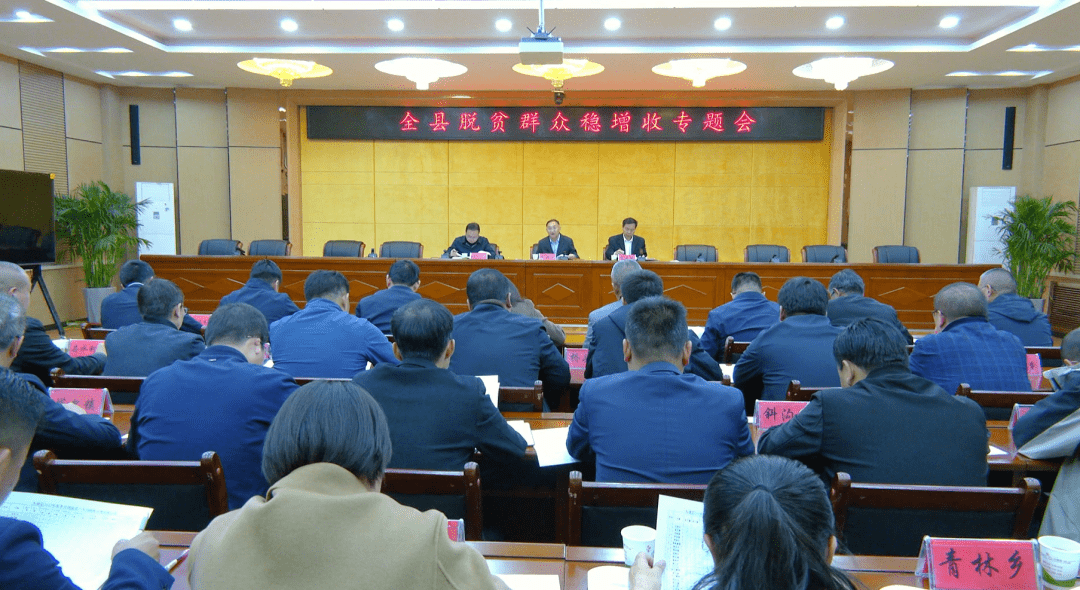 县委副书记王卫平出席并讲话,副县长陈生凯主持会议