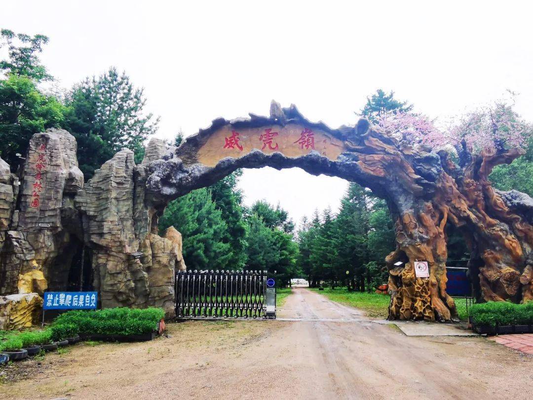 半价!5·19中国旅游日 敦化七大景区特惠嗨不停_文化_门票_全国