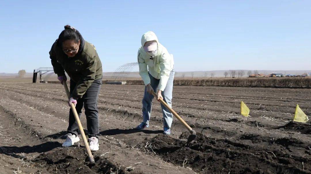 【走进春播一线】科技"撑腰"粮食增产_大西江农场_大豆_品种