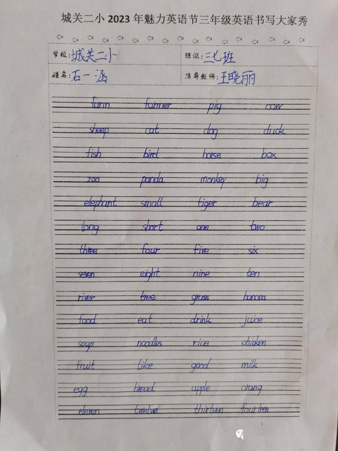 同学们将单词规范书写在四线三格中,字母饱满,字迹清秀